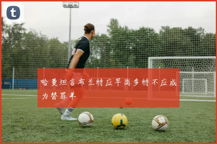 哈曼坦言布兰特应早离多特不应成为替罪羊